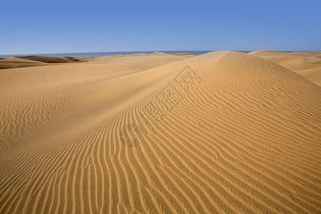 马斯帕洛马斯大加那利群岛沙漠沙丘蓝色地标冒险荒野干旱利岛绿洲孤独线条海岸图片