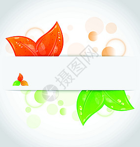 秋天季节性背景 请假时间变化小册子叶子季节收藏绿色橙子环境植物插图艺术图片