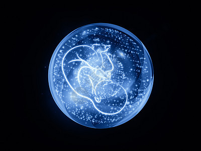 妇女概念胎位婴儿胎盘胚胎胎儿星星生长蓝色孩子子宫图片