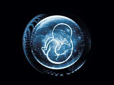 胎儿可视化婴儿胎位墙纸孩子星星生长子宫胚胎怀孕星云图片
