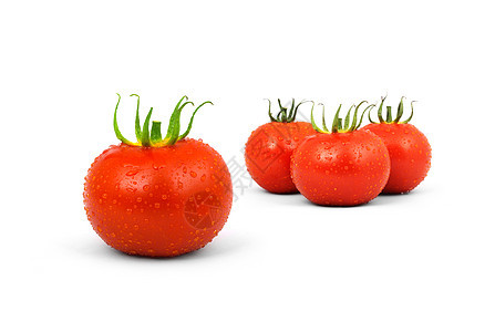 番茄食物红色水果蔬菜植物水平白色剪裁绿色图片