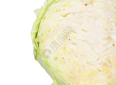 卷心菜背景背景生物学植物沙拉美食白色叶子食物收成园艺绿色图片