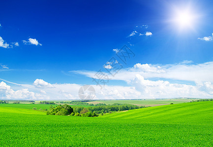 绿地和蓝天空农村植物农场远景季节太阳天堂土地生长阳光图片