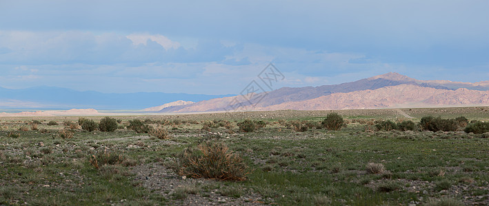 Altai山脉 美丽的高地景观 蒙古蓝色环境天空全景场景山腰高原山脉风景地形图片