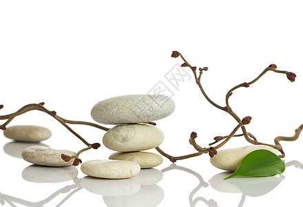 斯帕石头白色叶子按摩生活工作室摄影福利治疗禅意竹子图片