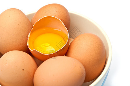 蛋生活食物脆弱性团体纸盒蛋壳产品小路农场市场图片