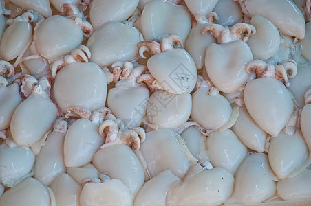 鱿鱼市场展示触手海洋美味团体美食杂货章鱼乌贼图片