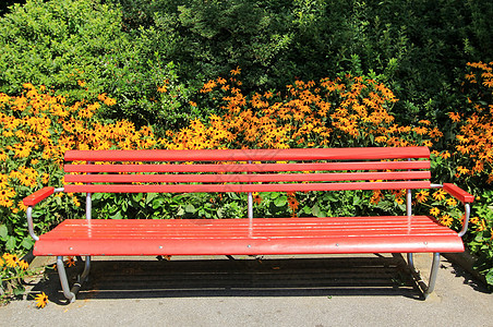 红色长板花朵美丽露台碎石长椅植物座位院子人行道园艺图片