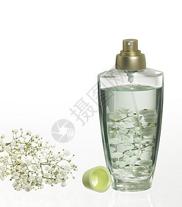 香水瓶白色草药亲热香料瓶子反射液体香水喷雾对象图片