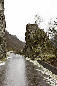 农村地貌的径长道路石质岩石风景乡村针叶树苔藓石头森林图片