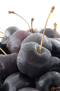 黑樱桃生长甜食食物水果果汁种子背景图片