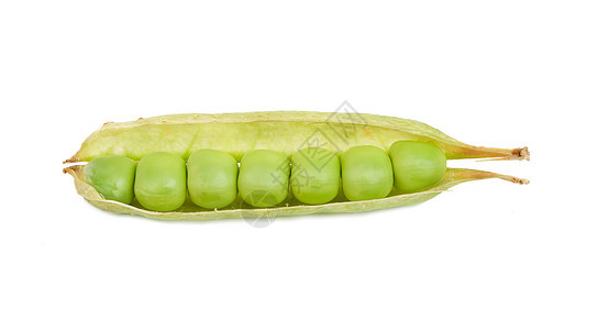 Pea Pod 皮波派绿色营养蔬菜健康图片