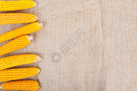 玉米的耳朵被撕裂在布隆普的背景上收成食物棒子核心粮食蔬菜金子季节性黄色图片