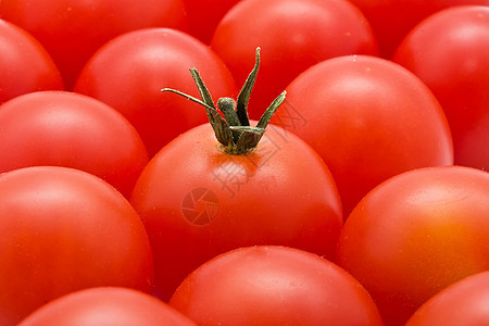 番茄蔬菜饮食生产叶子食物植物烹饪水果白色圆形图片