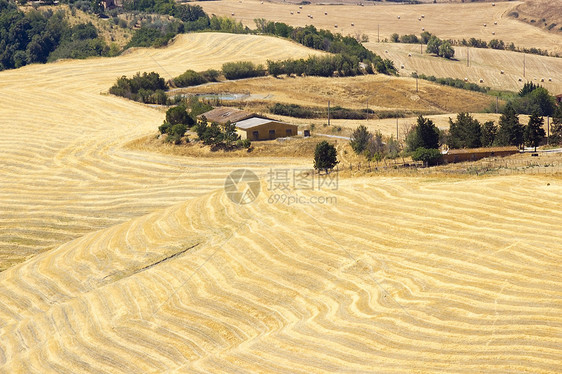对意大利夏季托斯卡尼典型风景的看法草地全景植物农场爬坡植被农田收成国家场地图片