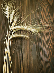 木本背景上的小麦边框植物生产收成尖刺稻草黄色粮食木头生长乡村图片