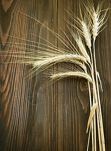 木本背景上的小麦边框黄色面包农业大麦稻草玉米收成种子木头边界图片