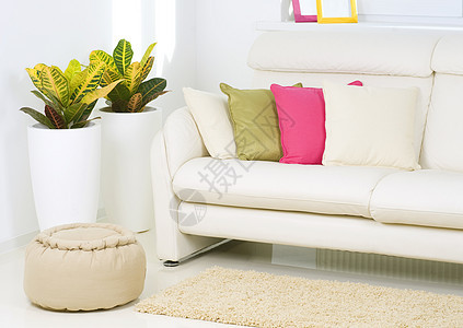 现代内地设计 白色客厅座位房间货架花朵家具房子沙发装饰风格长椅图片