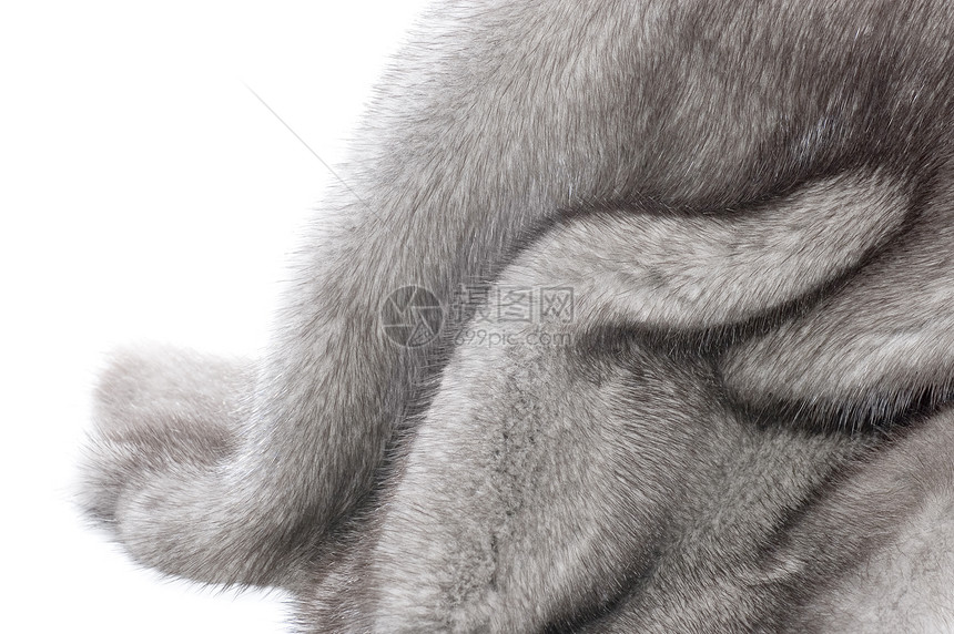 薄荷富白柔软度宏观白色黑貂灰色服饰衣服头发皮肤外套图片