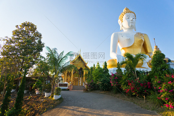 佛在寺庙里数字雕像上帝雕塑公园监护人佛教徒宗教花园建筑学图片
