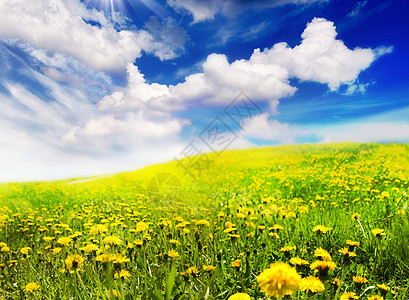 春季风景环境农场世界太阳蓝色地平线天空国家草原日落图片