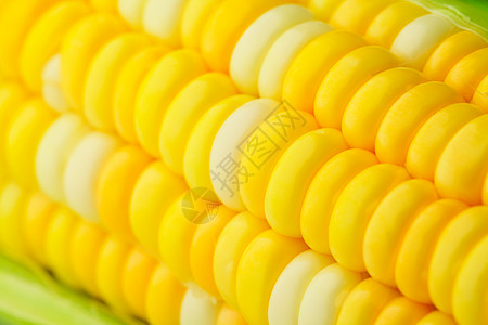 玉米角叶子营养黄色食物绿色白色蔬菜粮食图片