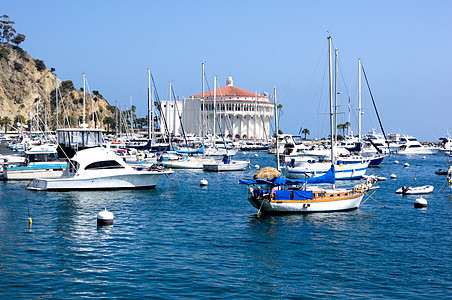 圣卡塔利娜岛渔船船尾码头游艇全景小艇大楼风景赌场帆船图片