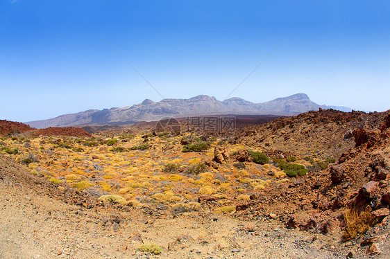 特内里费提德国家公园的加那利群岛蓝色沙漠岩石土地火山干旱石头首脑假期土壤图片