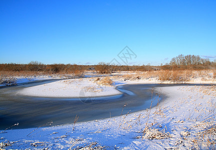 沿海河上的雪树地平线街道田园橡木阴影天空脉冲假期雪堆木头图片