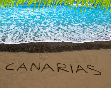 棕色沙滩沙沙 有字写着  加那利群岛棕榈场景天堂海浪异国打印岛屿情调太阳波纹图片