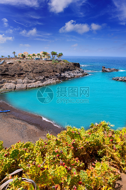 特内里夫的Adeje支撑波浪观光石头天空棕榈海洋海岸地标岛屿图片