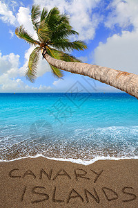 布朗沙滩沙沙写成词 加那利群岛棕榈波纹支撑蓝色异国晴天旅行热带假期岛屿图片