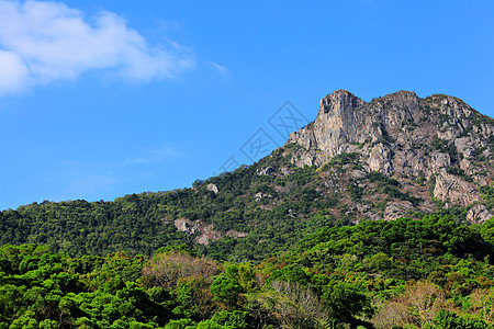 狮子摇滚 狮子像香港的山峰一样 是市中心头脑城市地标岩石晴天绿色精神爬坡天空图片