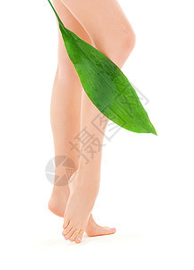 绿叶女腿脱毛赤脚活力植物极乐护理平衡女孩叶子温泉图片
