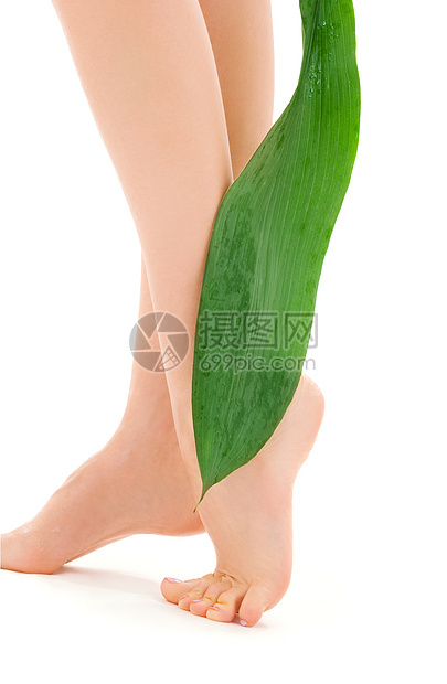 绿叶女腿植物叶子温泉福利极乐女性修脚赤脚活力脱毛图片