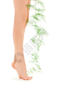 带绿植物的女腿平衡赤脚脚尖福利卫生温泉女孩身体极乐脱毛图片