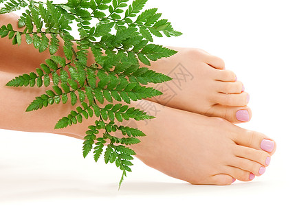 以绿叶为绿叶的女足福利脱毛足疗脚趾身体女性极乐皮肤活力卫生图片