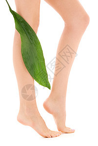 绿叶女腿身体卫生皮肤赤脚极乐叶子足疗女性护理植物图片