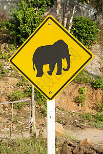 泰王国大象跨越公路标志情调旅行旅游异国岛屿游客假期热带图片