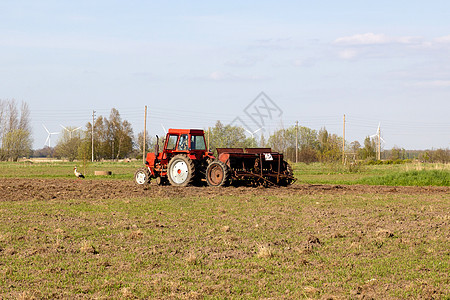 春季风景农业场景农作物农场种子耕作食物职业场地小麦图片