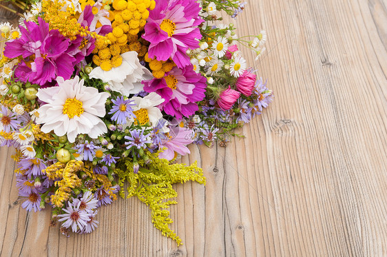 野生夏夏月花花花瓣投手植物季节花束花瓶野花荒野雏菊乡村图片