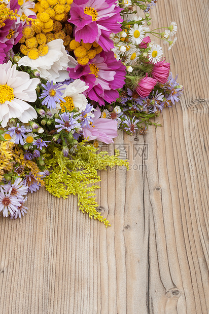 野生夏夏月花花花瓶野花乡村花朵花束植物投手季节雏菊荒野图片