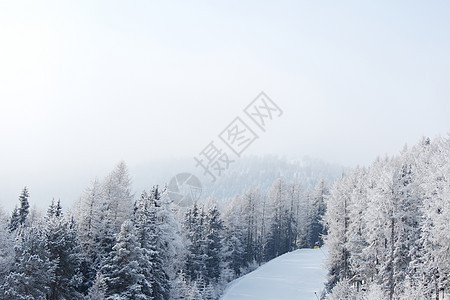 积雪中的森林首脑蓝色全景公园阳光高地场景天空降雪童话图片