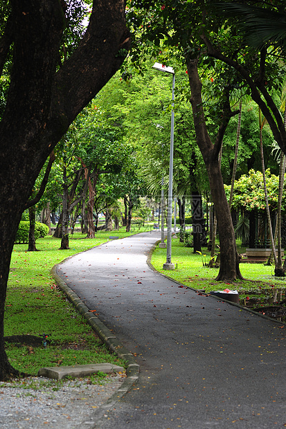 路径路徑小路场景人行道曲线自行车公园旅行踪迹自行车道机动性图片