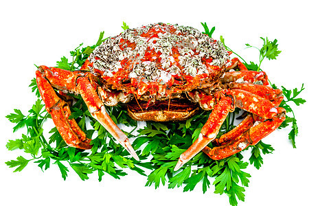 蜘蛛蟹甲壳动物食物海鲜螃蟹海洋野生动物贝类美食红色图片
