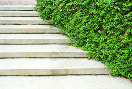 花园里有绿色植物的石楼梯石头叶子环境植物楼梯小路生长途径装饰踪迹图片