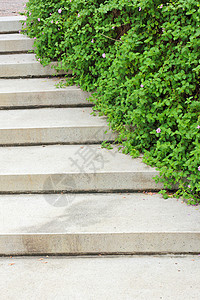 花园里有绿色植物的石楼梯植物石头小路装饰衬套楼梯踪迹人行道环境叶子图片