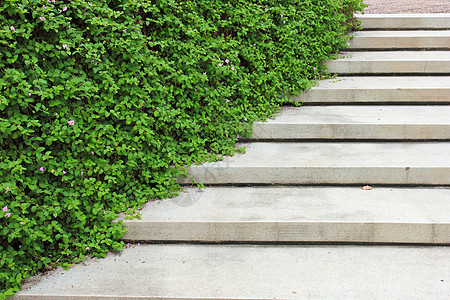 花园里有绿色植物的石楼梯环境途径石头风格生长衬套绿色楼梯公园小路图片