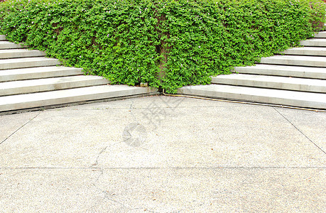 花园里有绿色植物的石楼梯环境途径石头生长公园叶子衬套人行道楼梯风格图片