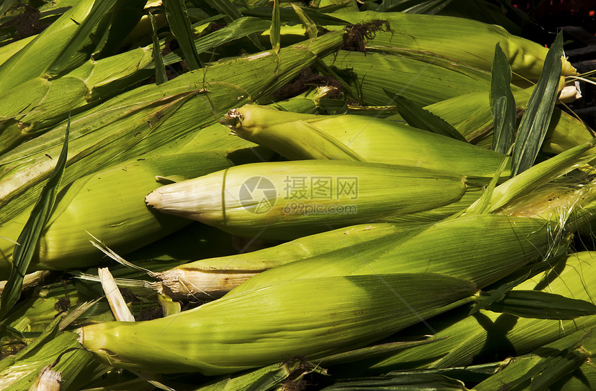 玉米角粮食农场烹饪棒子市场食物蔬菜麦片场地农业图片